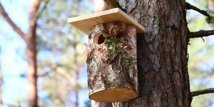 Inkilai / VMU nuotr.