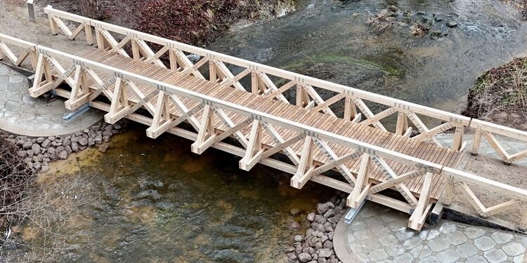 Medinis pėsčiųjų tiltas per Mažupės upę/Nuotraukos autorius - Viktoras Stanislovaitis