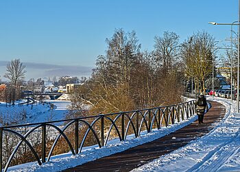 Turintiems teisę į socialinio būsto nuomą Panevėžyje  – pareiga deklaruoti pajamas