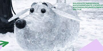 Sniego keksų konkursas Ukmergėje