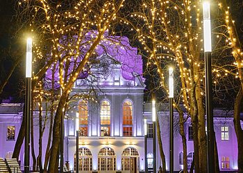 Purpurinė diena – pasaulinė epilepsijos pažinimo diena