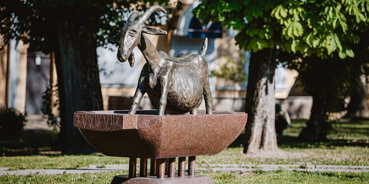 Skulptūra „Ožka geldoje“/Kauno m.sav.nuotr.