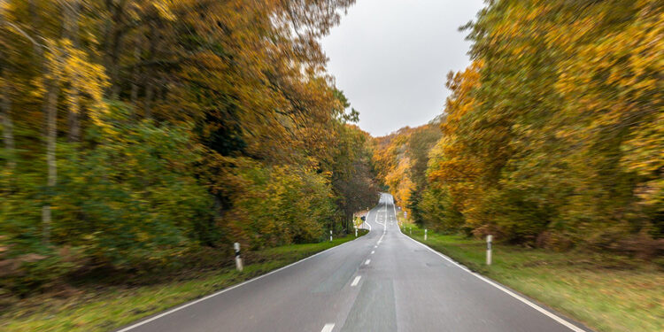 Kelias/Asociatyvi nuotr./Freepik