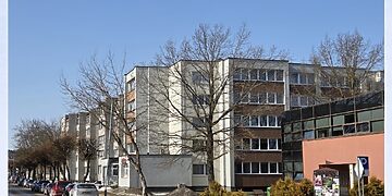 Numatomi šalinti medžiai/Ignalinos raj.sav.nuotr.