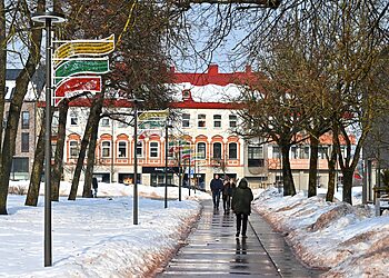 Panevėžyje po žiemos vertinama dviračių takų ir viešųjų erdvių būklė