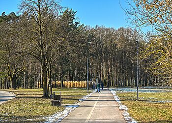 Iki rugpjūčio 1 d. negalima intensyviai genėti ar kirsti saugotinų medžių ir krūmų