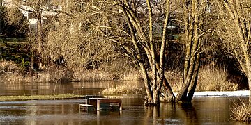 Padidėjęs vandens pritekėjimas Nevėžio upėje/Panevėžio m.sav.nuotr.