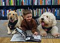 Biblioteka Kaune vaikus kviečia skaityti drauge su terapiniais šunimis