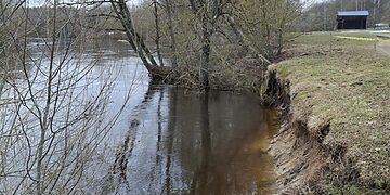 Pažeisti Nevėžio pakrančių šlaitai Surviliškyje/Kėdainių raj.sav.nuotr.