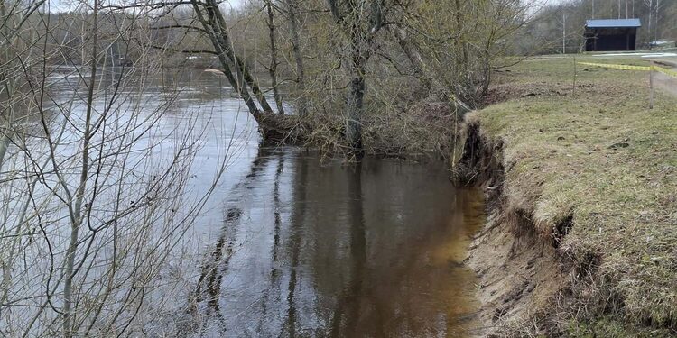 Pažeisti Nevėžio pakrančių šlaitai Surviliškyje/Kėdainių raj.sav.nuotr.