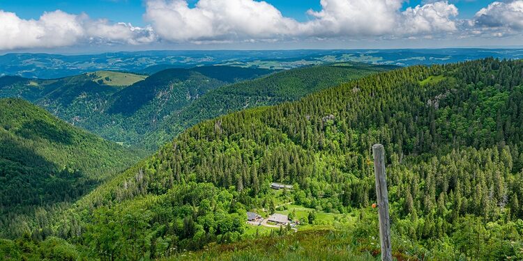 Turizmas/Asociatyvi nuotr./Freepik