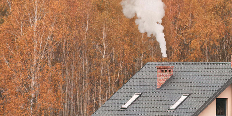 Kuras / Freepik nuotr.