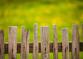 Zarasuose apgadinta tvora: pažeidėjus nustatė kameros