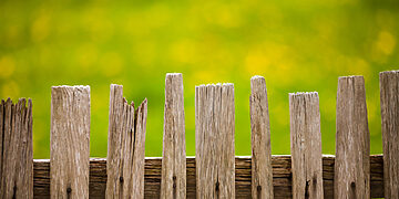 Tvora/Asociatyvi nuotr./Freepik