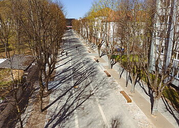 Iš pagrindų pasikeitusi Griunvaldo gatvė tapo nauja pėsčiųjų alėja Kaune