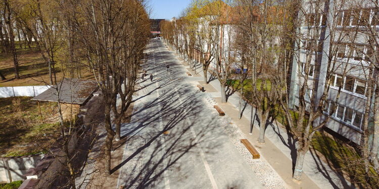 Griunvaldo gatvė/Kauno m.sav.nuotr.