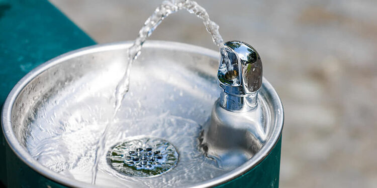 Lauko gertuvė/UAB „Kauno vandenys“ nuotr.