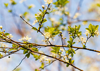 Biržų rajono savivaldybės delegacija vyks į  Verderio (prie Havelo) (VFR) savivaldybę