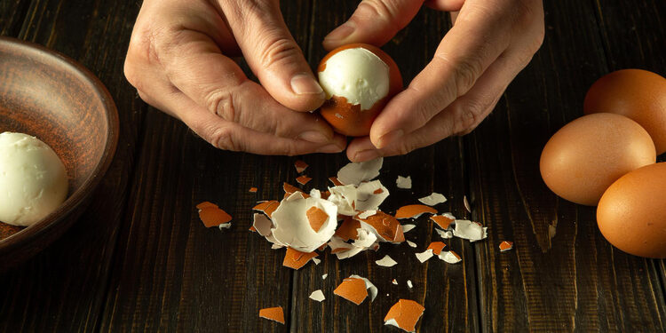 Kiaušinių lukštai / Freepik nuotr.