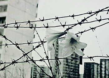 Balandžio 26 d. – Černobylio AE avarijos 40-ųjų metinių minėjimas Visagine