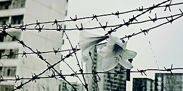 Balandžio 26 d. – Černobylio AE avarijos 40-ųjų metinių minėjimas Visagine