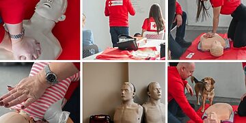 Pirmosios pagalbos treneriai/Lietuvos Raudonasis Kryžius nuotr.