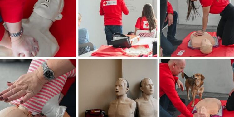 Pirmosios pagalbos treneriai/Lietuvos Raudonasis Kryžius nuotr.