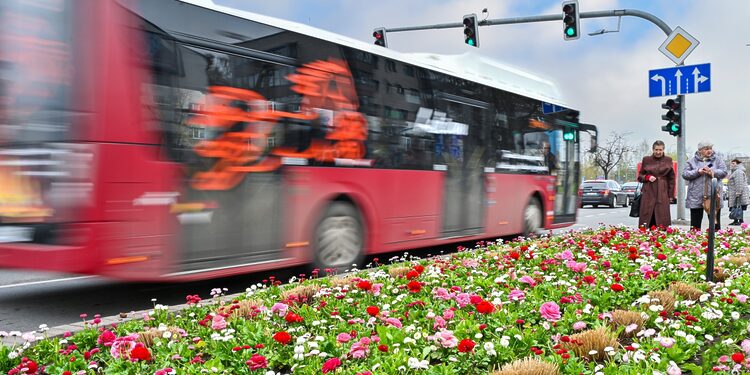Autobusas stotelėje/G. Kartano nuotr.