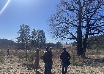 Zaraso ežero Didžiosios salos  teritorijai skirta daug dėmesio