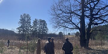 Zaraso ežero Didžiosios salos teritorija/Zarasų raj.sav.nuotr.