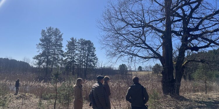Zaraso ežero Didžiosios salos teritorija/Zarasų raj.sav.nuotr.