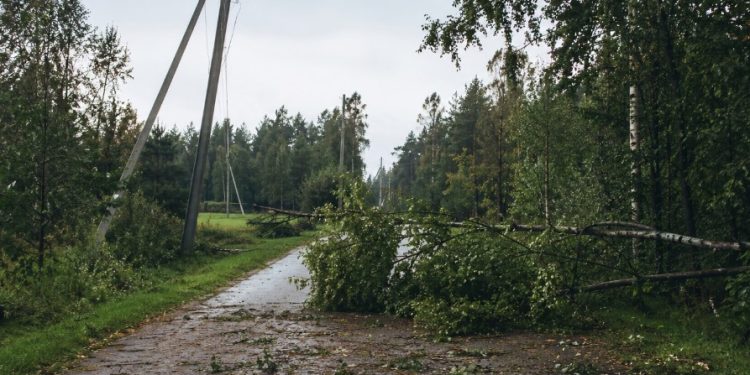 Audros padariniai/Molėtų raj.sav.nuotr.