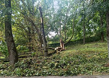 Apie elektros tiekimo sutrikimus Kėdainių rajone