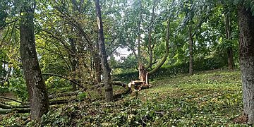 Audros padarfiniai/Kėdainių raj.sav.nuotr.