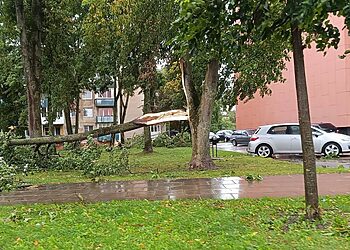 Kėdainių rajone tęsiami savaitgalį praūžusios audros padarinių šalinimo darbai