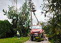 Kėdainių rajone šešios brigados šalina elektros tiekimo sutrikimus