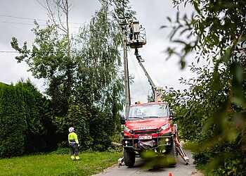 Kėdainių rajone šešios brigados šalina elektros tiekimo sutrikimus