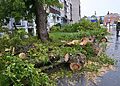Panevėžyje tęsiami intensyvūs audros padarinių šalinimo darbai