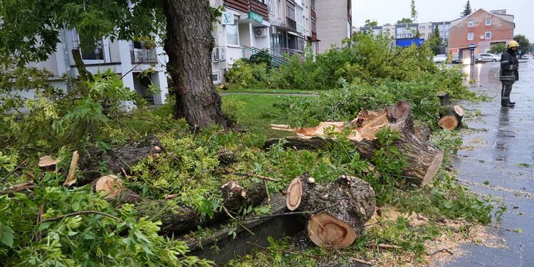 Audros padariniai Panevėžyje/V. Bieliūno nuotr.